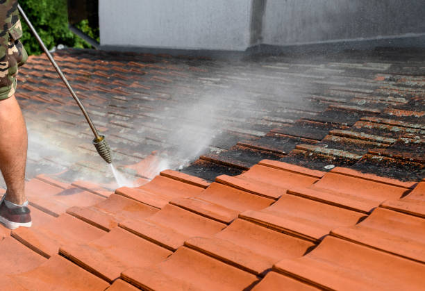 Best Local Pressure Washing Services  in Olmos Park, TX